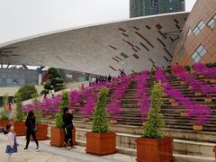 -重庆国际马戏城
