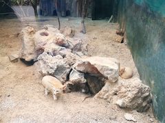 -昆明动物园