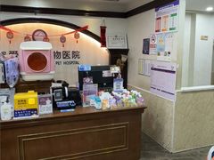 -宠爱国际动物医院·消化内科·心肾内科·ISFM猫友好(望京店)