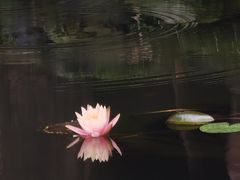 -望江楼公园