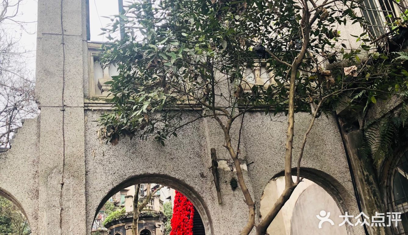 废墟中的烂漫花园[玫瑰][凋谢]