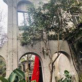 废墟中的烂漫花园[玫瑰][凋谢]