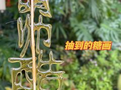 -广州长隆野生动物世界