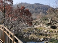 -武汉姚家山旅游景区