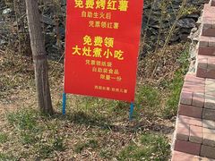 -西部长青自然儿童乐园