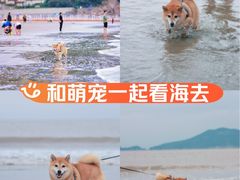 -东海半边山旅游度假区