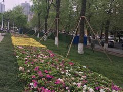 -龙头寺公园