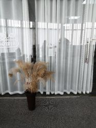 点击看大图 -OM瑜伽教练培训学院
