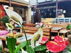-丽江庭院之爱在路上(西单店)