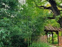 -大连植物园
