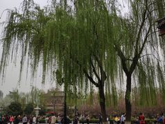 -西安青龙寺遗址景区