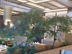 -邵汇大虾火锅(鲁迅路店)