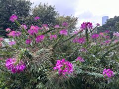 -人民公园(罗湖区)