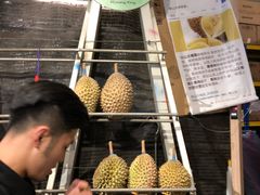 -都念榴莲·城市榴莲