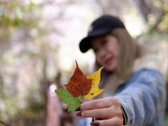 -叠溪松坪沟景区