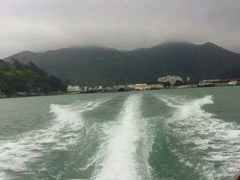 -大澳