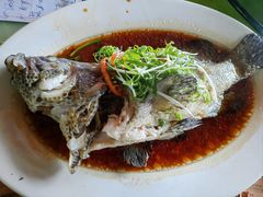 清蒸老虎斑-盛港湾海鲜食府(黄沙店)