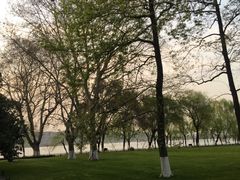 景点-柳浪闻莺公园