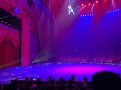 -珠海横琴长隆《卡卡虎奇遇记》