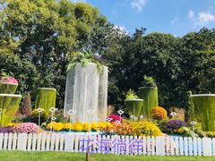 -上海共青森林公园
