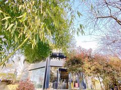 -MAMACHA妈妈茶(岳麓山店)