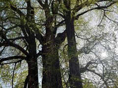 -唐晋人家(源深路店)