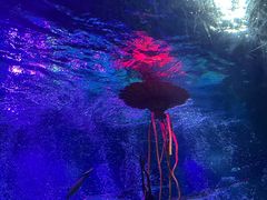 -沈阳海洋探索中心