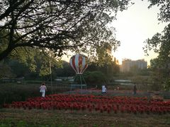 -南沙蒲洲花园