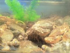 -V-ONE西雅图海鲜自助餐厅(仓山万达广场店)