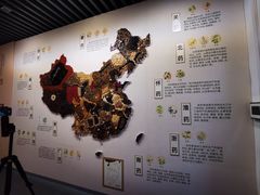 -北京中医药大学-中医药博物馆