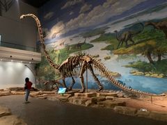 -自贡恐龙博物馆