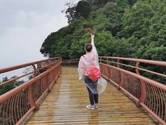 -少华山国家森林公园