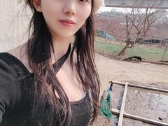 -秀丽东方
