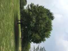 济南森林公园-济南森林公园