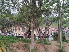 -枫香湖儿童公园