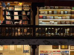 -宣科纳西古乐·非遗音乐(大水车店)