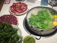 -汕头八合里海记牛肉店(清河店)