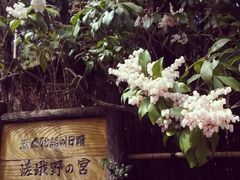 -野宫神社