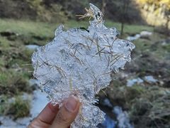 -苏木山森林公园