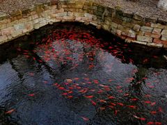 -水磨沟公园