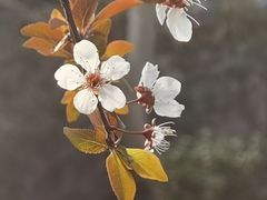 -7017浙菜•建德味(中财店)