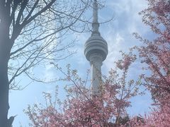 -龟山风景区-龟山电视塔