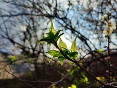 -广州市流溪河国家森林公园