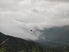 -梧桐山风景名胜区