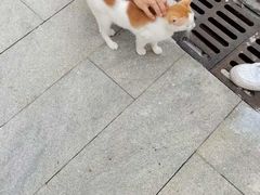 -荔湾湖公园