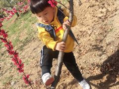 -永定河休闲森林公园