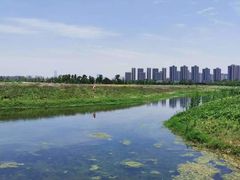 -洋湖国家湿地公园
