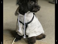 -熊小胖宠物生活馆(天华园店)