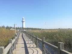 -呼兰河口湿地公园