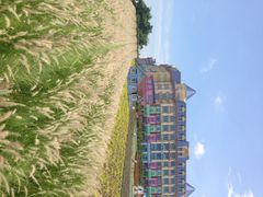 iphone_upload_pic-广州花之恋城堡酒店
